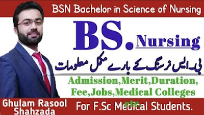 B.S Nursing/ Scope of B.S Nursing